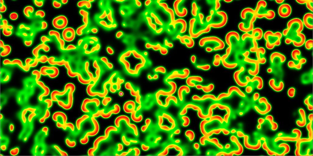 Example of an evolving pattern in the Gray–Scott model.