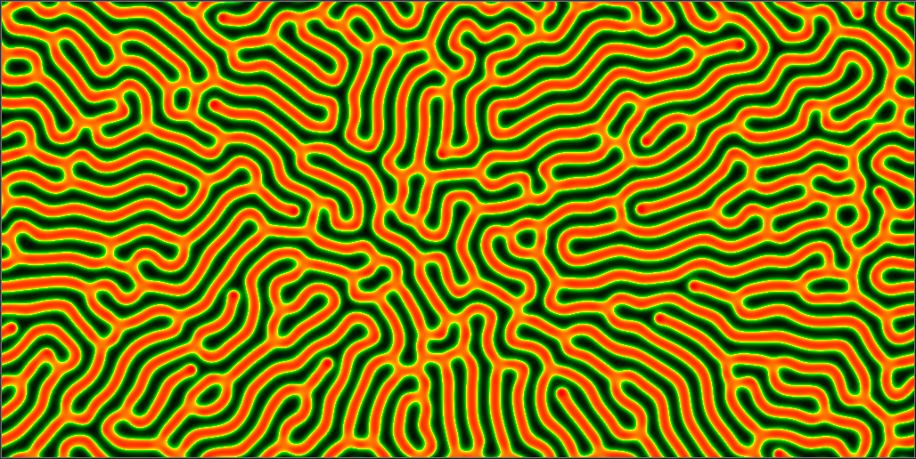Labyrinthine pattern in the Gray–Scott model.