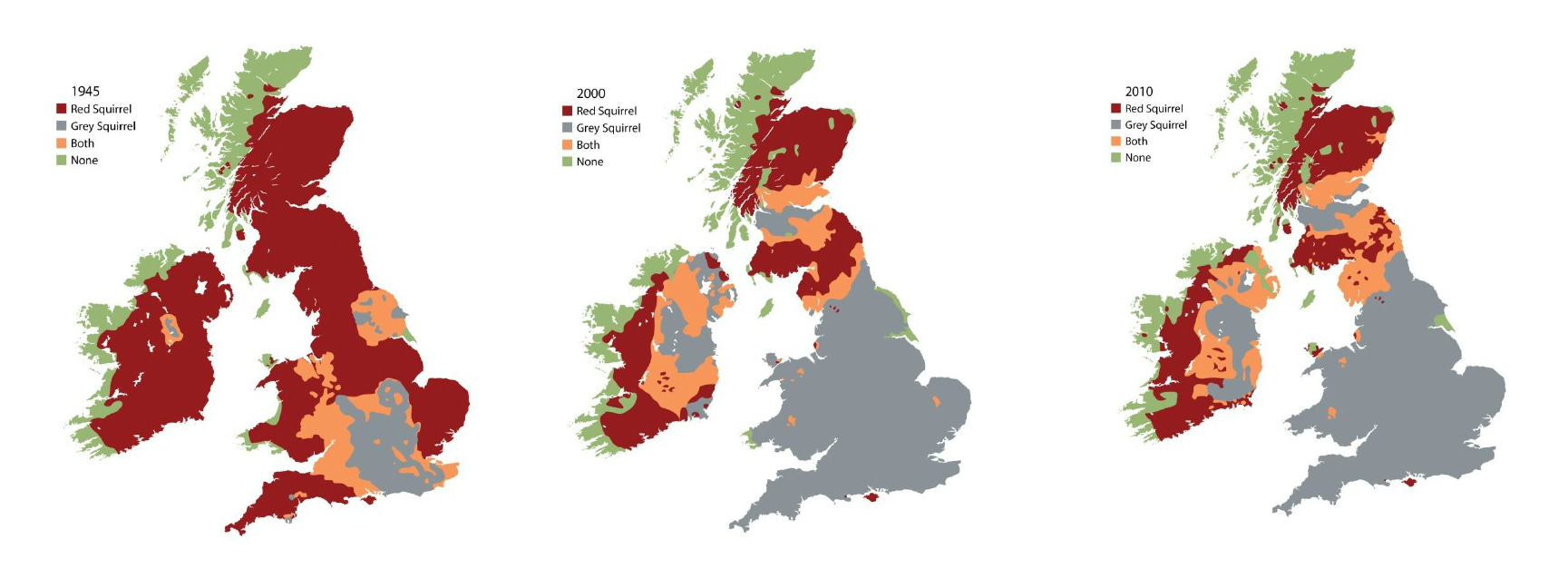 Maps showing changes in the distribution of red and grey squirrels in the United Kingdom.