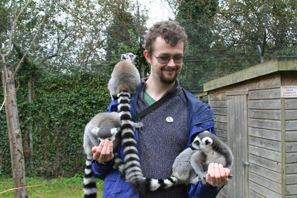 Lemurs