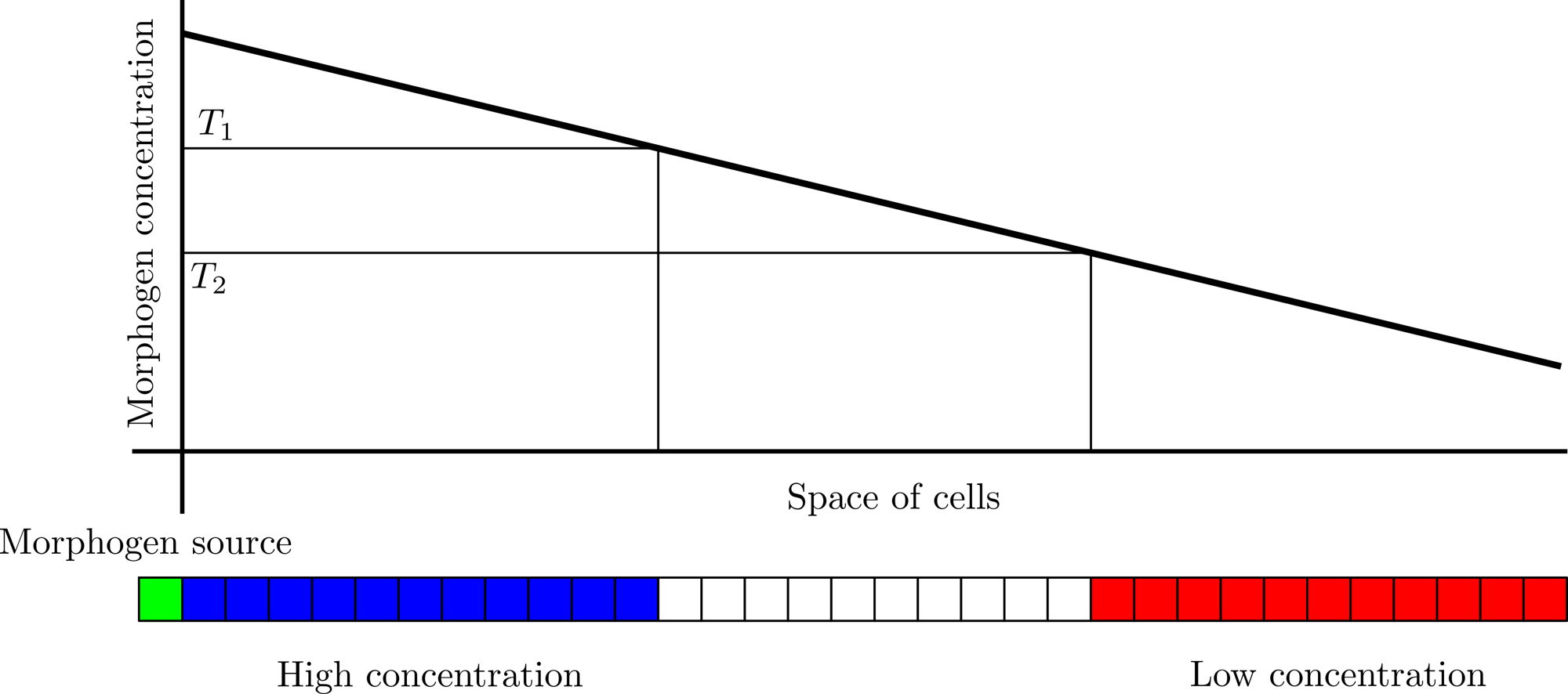 French flag patterning