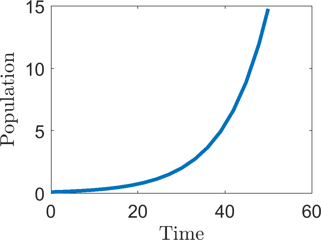 Exponential